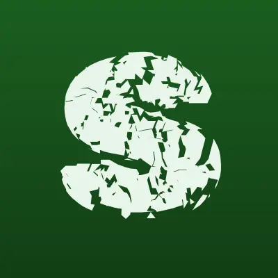shs.ru, шинный центр, лого-визитка